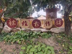 -吉姆冒险世界(蓟州店)
