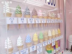 琳琅满目的冰激凌口味-寺子屋本舗(浅草仲見世小町店)
