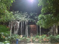 iphone_upload_pic-绿色时代大酒店