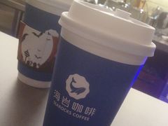 -海岩咖啡(南中环国金店)