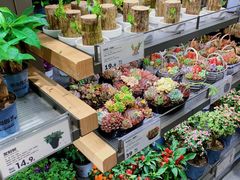 -鹿岛生活(熙地港店)