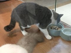 -开元盛世广场(新华北路店)