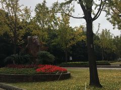 景点-苏州河梦清园环保主题公园