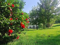 -眉山湿地公园(东坡区)