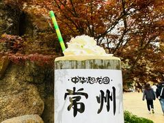 -中华恐龙园