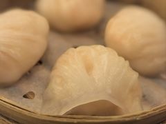 -澳门威尼斯人综合度假区