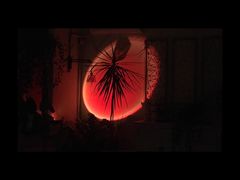 -虚荣精酿酒屋(五羊店)