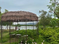 -三垟湿地