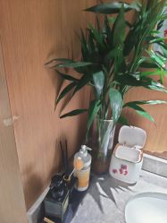 -苑苑vbeauty科技美容SPA
