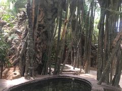 -龙达温泉生态城