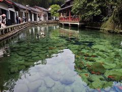 -姑婆山旅游区