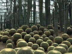 -南山植物园