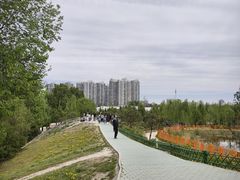 -太阳宫公园