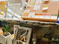 -ABCD咖啡屋(妇幼店)