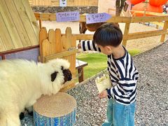 -HERRE·FARM 赫尔露营农场·团建聚会包场