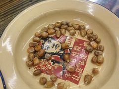 -赵老蒯土窑坑烤