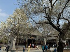 -护国法轮寺