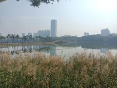 -南宁南湖公园