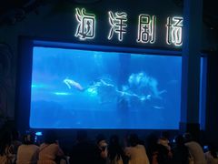 -洛阳龙门海洋馆