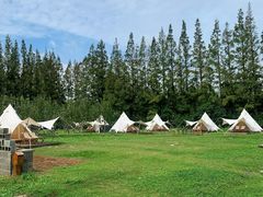 -前小桔亲子创意农场·草莓采摘·露营烧烤