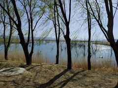 -野鸭湖国家湿地公园