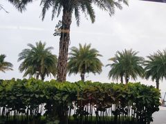 -碧桂园十里银滩