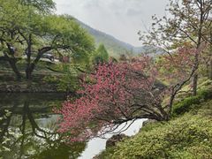 -冶父山国家森林公园