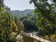 -云溪植物园