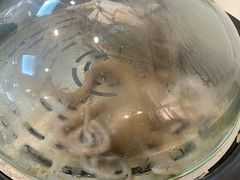 -蓝珊甄选海鲜自助·火锅大排档(近阿那亚店)