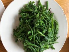-翕庐小苑