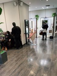 -崇尚GAVIN STYLE臻选