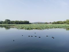 -颐和园