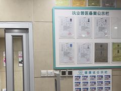-谐和益家动物医院·免疫绝育·血液透析·宠保定点医院(高新伊藤分院)