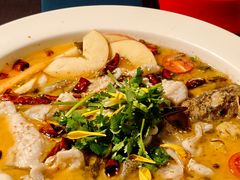 -花溪雨·森林餐厅(石基店)