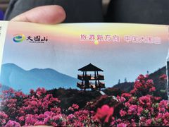 -大围山国家森林公园