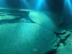 -白鹤梁水下博物馆