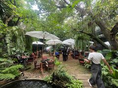 -Fern Forest Cafe