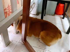-小梁哥云吞面(黄贝岭店)