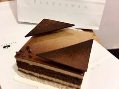 -BLACKSWAN黑天鹅(环球店)
