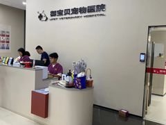 -御宝贝24h宠物医院·转诊中心·CT核磁血透中心(厦门总院)