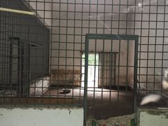 -青峰峡国家森林公园