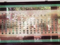 -九溪蒋记菌子宴