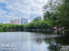-青城公园