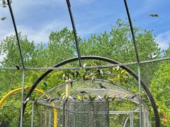 -合肥滨湖国家森林公园