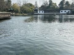 -无锡蠡湖国家湿地公园-蠡园