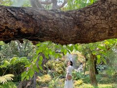 -Chom Cafe and Restaurant