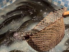 -九寨沟石锅鱼(沣峪口二十年店)