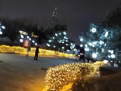 -长春世界雕塑园冰雪艺术天地