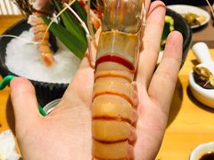 鳌虾-割烹旭日本料理(龙湖狮山天街店)