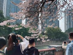 -红星桥(地铁站)